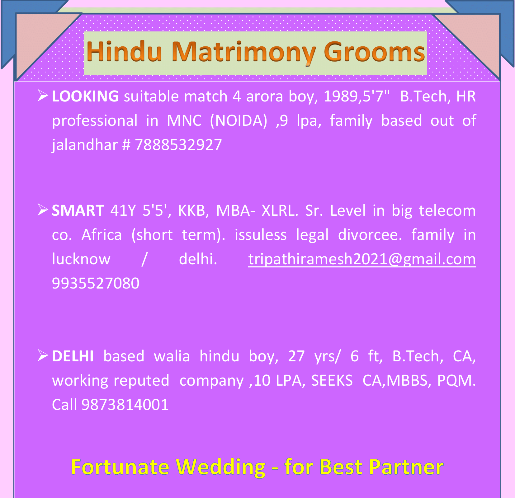hindu matrimony groom